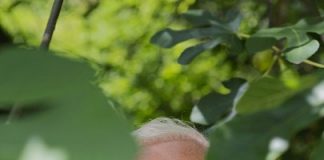 Charles Aznavour in concerto a Milano, il 13 novembre all’Arcimboldi Charles Aznavour