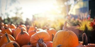 Halloween in cucina: un barbecue per una cena tra amici halloween