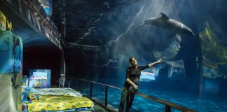 Tania Cagnotto madrina di Una notte all’Acquario con Spongebob Tania Cagnotto