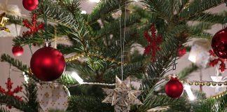 Divorzi sotto l’albero? Consigli per superare la prova delle feste albero di Natale