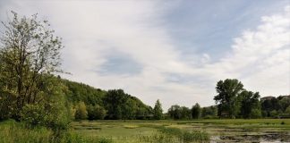 La biodiversità che scorre, il video dell’Istituto Oikos Onlus fagnano-olona