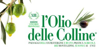 XIII L’Olio delle Colline: al via le selezioni dei finalisti L’Olio delle Colline