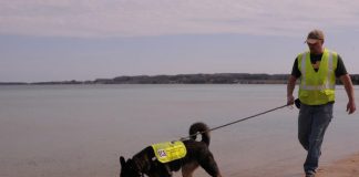 Cani amici dell’ambiente: l’olfatto per monitorare lo stato delle acque Scott e Sable