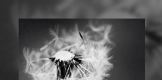 “Siamo in onda” è il nuovo singolo indie pop dei RadioLondra Siamo in onda-RadioLondra