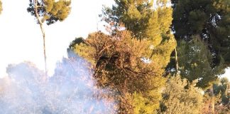 Blocco Studentesco: sit-in in tutta Italia per protestare contro l’alternanza scuola-lavoro