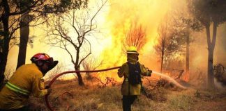 Da Confagricoltura un invito al Governo a varare il Codice Forestale Abruzzo-devastato-dagli-incendi.-Foto-repertorio