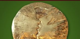 V Edizione 2018 del Premio Accademico Internazionale “Apollo Dionisiaco” Medaglia Premio Apollo dionisiaco 2018