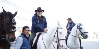 Cavalli a Roma 2018 si chiude con 25mila presenze mattioli