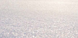 Gelate e nevicate, danni ingenti in diverse zone agricole dell’Italia neve