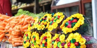 Florovivaismo, in arrivo contributi a fondo perduto dal Dl Rilancio fiori fioraio