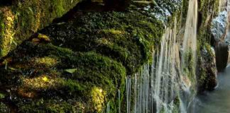 Giornata mondiale dell’acqua 2018, l’invito di Confagricoltura a un uso razionale