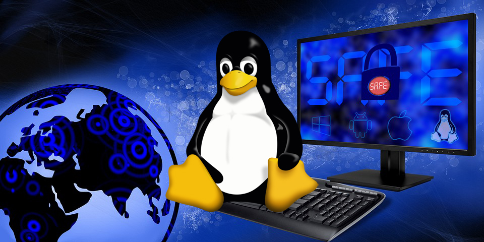 Il profilo di Linus Benedict Torvalds, ideatore di Linux Il profilo di Linus Benedict Torvalds, ideatore di Linux