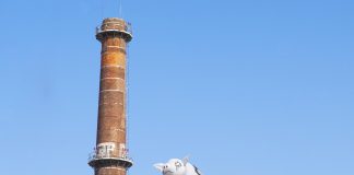 Un maiale bianco sopra la Sony Music per salutare Roger Waters