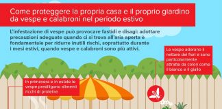 Vespe e calabroni: come proteggere terrazze e giardini dagli infestanti con l’arrivo della stagione estiva