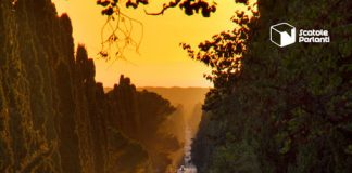 Una vita che cambia: primo libro per Laura Rongoni Una vita che cambia primo libro Laura Rongoni