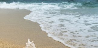 Roma, operazione “Spiagge libere”: sequestrati 80mila articoli contraffatti spiagge libere