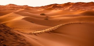 I segreti del deserto deserto