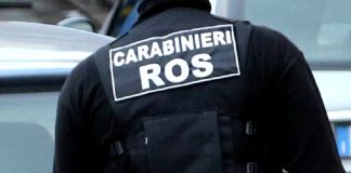 Skinhead italiani assoldavano mercenari, 6 arresti dei Carabinieri