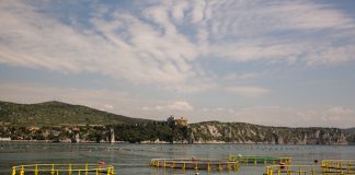 Cresce in estate il consumo di pesce: in Italia il più sano e sicuro allevamenti mare