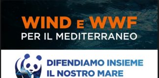 Wind e Wwf a difesa del mar Mediterraneo