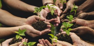 Coltiviamo agricoltura sociale, la 3° edizione del concorso coltiviamo agricoltura