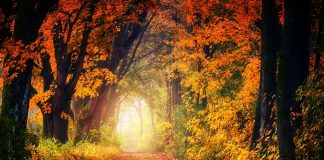 Equinozio di autunno 2018: significato, riti e tradizioni Equinozio di autunno 2018