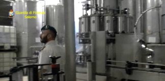 GdF Salerno, sotto sequestro due tonnellate d’olio extravergine adulterato salerno sequestro olio