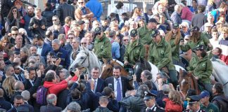 Fieracavalli, foto e bilancio dell’edizione 2018 fieracavalli 2018