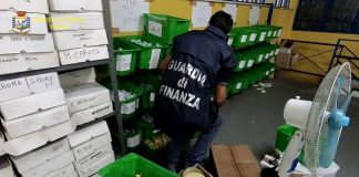 Napoli, maxi evasione nel settore delle sigarette elettroniche gdf napoli maxi evasione