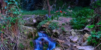 I paesaggi fiabeschi e poetici degli scatti fotografici di Emanuele Ubaldi una piccola sorgente nei pressi del borgo di Stifone