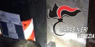 Vende droga in tuta da imbianchino, arrestato