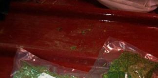 Droga e 42mila euro in casa, 29enne preso dalla polizia a Torre del Greco