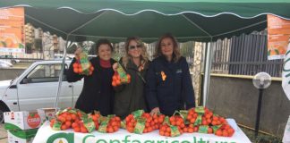 Clementine per dire no alla violenza contro le donne clementine donne calabria