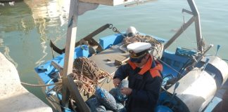 Pesce non commestibile: sequestrati 180 kg a Termoli, sanzioni per 20mila euro