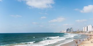 Oroscopo 2019, un viaggio per ogni segno tel - aviv
