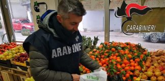 Shopper non biodegradabili, maxisequestro dei Carabinieri Forestali