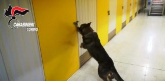 Torino: scoperto ‘tesoro’ di 1,3 milioni di euro in un box, un arresto