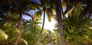 Alla scoperta del paradiso della Green Turtle Alla scoperta del paradiso della Green Turtle