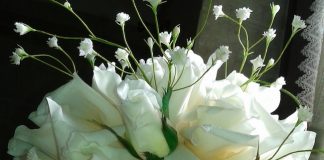 Il lato dolce dell’arte con le meravigliose cakes di Nunzia Tatullo cakes nunzia tatullo