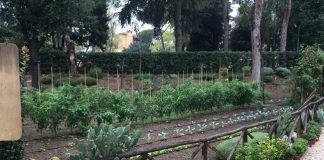 Corso LUISS “LabGov”, l’intervento di Confagricoltura orti