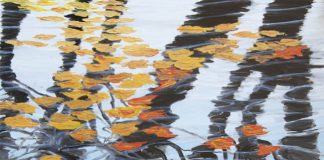 Giancarlo Fantini, tra ricordi di attimi e ritmi delle stagioni un metro quadro d'autunno