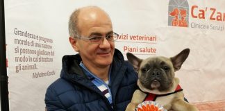 Premio Ca’ Zampa Puppy 2019, i cuccioli vincitori axel premio ca zampa puppy