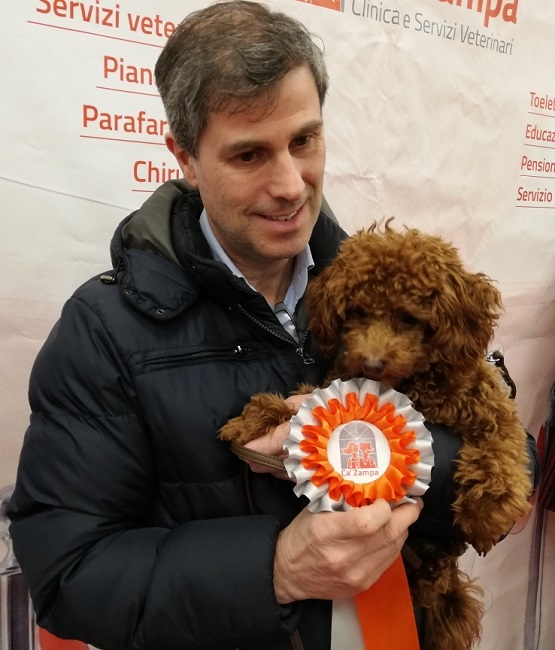 george premio ca zampa puppy