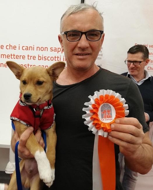 pippo premio ca zampa puppy