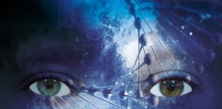 “Indeed” alla scoperta del primo album di Fance indeed fance album