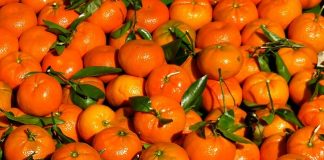 Negoziato con UE degli USA, buona notizie per il Made in Italia agroalimentare arance