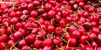 Confagricoltura su importazioni ciliege da Turchia, Spagna e Grecia ciliegie