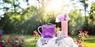 Colazione lenta, sana e tranquilla: dieci consigli utili colazione lenta sana tranquilla
