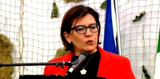 Reclutamento delle forze armate, audizione della ministra Trenta e del generale Farina
