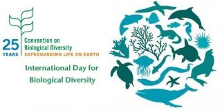 Confagricoltura su Giornata Mondiale della Biodiversità 2019 Giornata Mondiale della Biodiversità